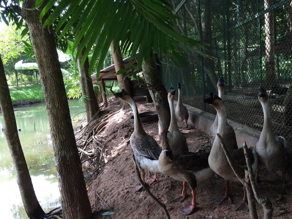 Phu Pha Nam Resort Dan Sai Buitenkant foto